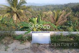 Kavling Tanah di Mancak Dijual Luas 5750m2 Legalitas - Kavling Tanah di Mancak Dijual Luas 5750m2 Legalitas -