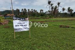 Tanah Dijual Lokasi Purwakarta, Cilegon Luas 1272m2 Legalitas Aman Tanah Dijual Lokasi Purwakarta, Cilegon Luas 1272m2 Legalitas Aman