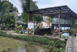 Kavling Tanah Dijual di Mandalawangi Pandeglang Spesifikasi 1851m2 Kavling Tanah Dijual di Mandalawangi Pandeglang Spesifikasi 1851m2