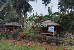 Kavling Tanah Dijual di Mandalawangi Pandeglang Spesifikasi 2672m2 Kavling Tanah Dijual di Mandalawangi Pandeglang Spesifikasi 2672m2