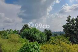 Untuk Dijual Tanah di Cilegon, Luas 2454m2 SHM Untuk Dijual Tanah di Cilegon, Luas 2454m2 SHM