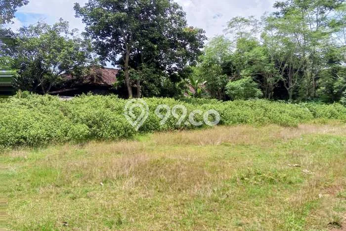 Tanah Kosong Dijual di Serang dengan Area 1424m2 Tanah Kosong Dijual di Serang dengan Area 1424m2