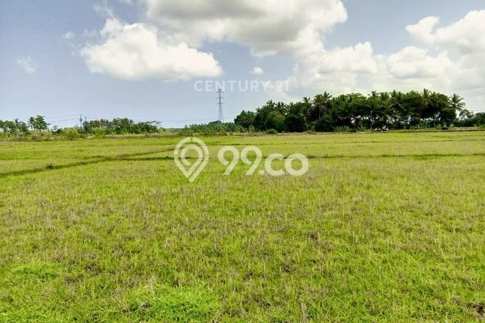 Tanah Dijual Lokasi Pagelaran, Pandeglang Luas 2702m2 Legalitas Aman Tanah Dijual Lokasi Pagelaran, Pandeglang Luas 2702m2 Legalitas Aman