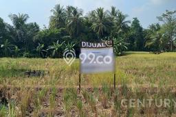 Lahan Investasi Lokasi Rangkasbitung Lebak SHM Lahan Investasi Lokasi Rangkasbitung Lebak SHM