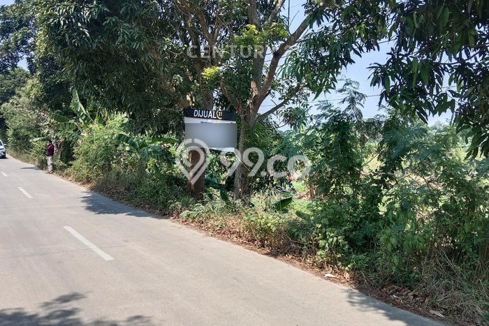 Tanah di Pagelaran, Pandeglang Luas 8260m2 Dijual Segera Tanah di Pagelaran, Pandeglang Luas 8260m2 Dijual Segera