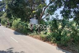 Tanah di Pagelaran, Pandeglang Luas 8260m2 Dijual Segera Tanah di Pagelaran, Pandeglang Luas 8260m2 Dijual Segera