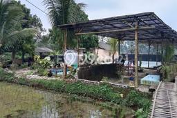Kavling Tanah Dijual di Mandalawangi Pandeglang Spesifikasi 1851m2 Kavling Tanah Dijual di Mandalawangi Pandeglang Spesifikasi 1851m2