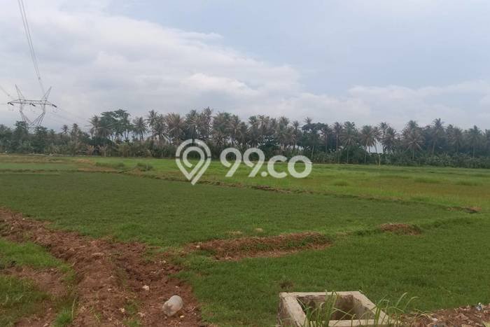 Tanah Lokasi Prima di Purwakarta, Luas 1272m2m², Lingkungan Asri, Akses Purwakarta, Cilegon, Cilegon Tanah Lokasi Prima di Purwakarta, Luas 1272m2m², Lingkungan Asri, Akses Purwakarta, Cilegon, Cilegon