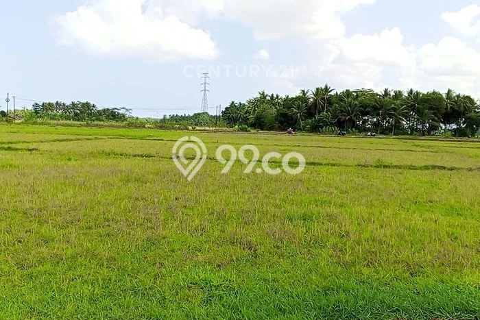 Tanah Dijual Lokasi Pagelaran, Pandeglang Luas 2702m2 Legalitas Aman Tanah Dijual Lokasi Pagelaran, Pandeglang Luas 2702m2 Legalitas Aman