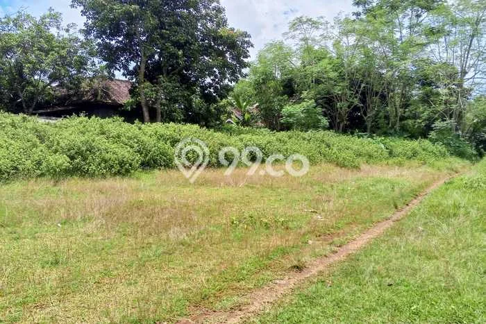 Tanah Kosong Dijual di Serang dengan Area 1424m2 Tanah Kosong Dijual di Serang dengan Area 1424m2