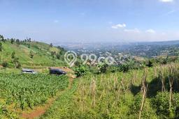 Lahan Dijual Lokasi Cimenyan, Bandung dengan Luas Tanah 1400m2 dan Status SHM Lahan Dijual Lokasi Cimenyan, Bandung dengan Luas Tanah 1400m2 dan Status SHM