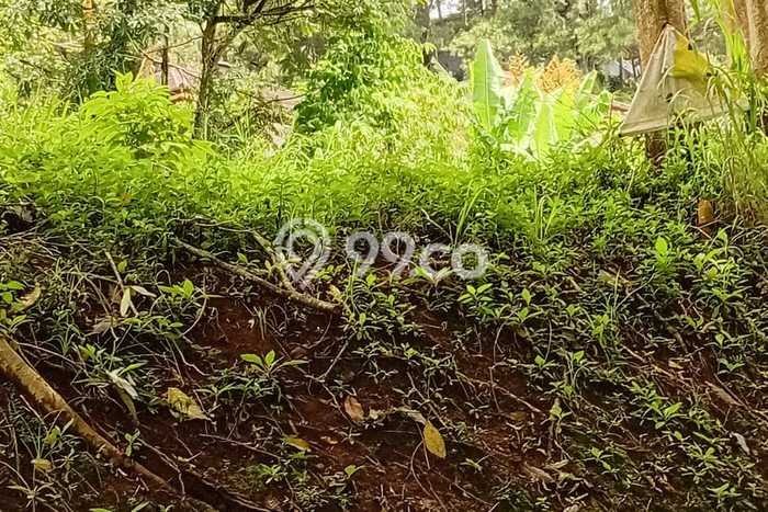 Tanah Dijual Lokasi Lembang, Bandung Barat Luas 831m2 Legalitas Aman Tanah Dijual Lokasi Lembang, Bandung Barat Luas 831m2 Legalitas Aman