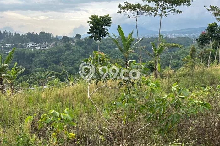 Tanah Komersial Dijual di Lembang Bandung Barat 3986m2 Tanah Komersial Dijual di Lembang Bandung Barat 3986m2