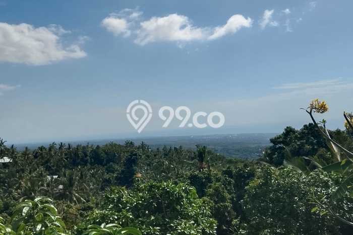 Lahan untuk Dijual Lokasi Kubutambahan, Buleleng Luas 5000m2 SHM Lahan untuk Dijual Lokasi Kubutambahan, Buleleng Luas 5000m2 SHM