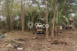 Tanah Kavling Dijual di Umalas, Badung dengan Luas Tanah 2500m2 Tanah Kavling Dijual di Umalas, Badung dengan Luas Tanah 2500m2