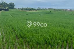 Kavling Tanah untuk Dijual di Tibubiyu, Tabanan, Luas 3300m2 Kavling Tanah untuk Dijual di Tibubiyu, Tabanan, Luas 3300m2