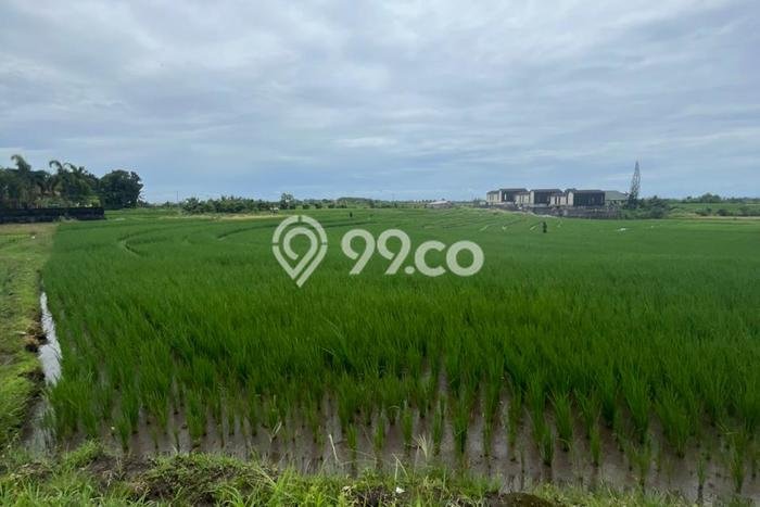 Kavling Tanah untuk Dijual di Tibubiyu, Tabanan, Luas 3300m2 Kavling Tanah untuk Dijual di Tibubiyu, Tabanan, Luas 3300m2