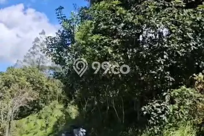 Tanah Kosong Dijual di Bangli dengan Area 8000m2 Tanah Kosong Dijual di Bangli dengan Area 8000m2