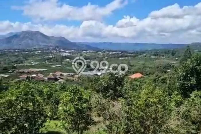 Tanah Kosong Dijual di Bangli dengan Area 8000m2 Tanah Kosong Dijual di Bangli dengan Area 8000m2