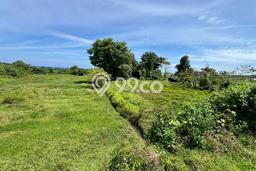 Tanah Siap Bangun Dijual di Gianyar Punya Luas 11170m2 Tanah Siap Bangun Dijual di Gianyar Punya Luas 11170m2