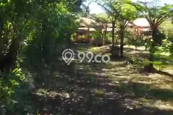 Kavling Tanah untuk Dijual di Sekaan, Bangli, Luas 10000m2 Kavling Tanah untuk Dijual di Sekaan, Bangli, Luas 10000m2