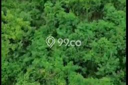Untuk Dijual Tanah 720m2 di Keramas, Gianyar Untuk Dijual Tanah 720m2 di Keramas, Gianyar