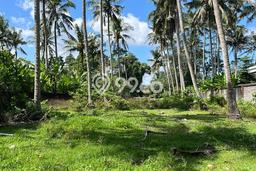 Tanah Dijual Lokasi Strategis di Gianyar dengan Luas 7500m2 Tanah Dijual Lokasi Strategis di Gianyar dengan Luas 7500m2
