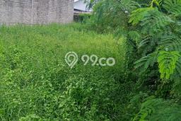 Tanah Kavling Dijual di Cepaka, Tabanan dengan Luas Tanah 650m2 Tanah Kavling Dijual di Cepaka, Tabanan dengan Luas Tanah 650m2