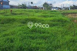 Untuk Dijual Tanah di Badung, Luas 500m2 SHM Untuk Dijual Tanah di Badung, Luas 500m2 SHM