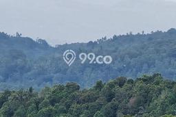 Dijual Tanah 15000m2 di Munduk, Buleleng Dijual Tanah 15000m2 di Munduk, Buleleng