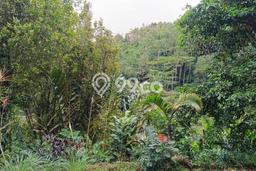 Dijual Tanah di Buleleng, Luas 18000m2 SHM Dijual Tanah di Buleleng, Luas 18000m2 SHM