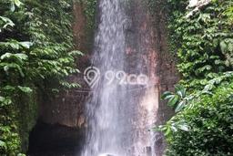 Kavling Tanah untuk Dijual di Munduk, Buleleng, Luas 12000m2 Kavling Tanah untuk Dijual di Munduk, Buleleng, Luas 12000m2