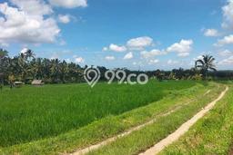 Dijual Tanah Lokasi Manukaya, Gianyar Seluas 6000m2 Dijual Tanah Lokasi Manukaya, Gianyar Seluas 6000m2
