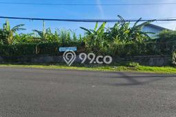 Lahan Kosong Dijual di Denpasar dengan Area 1180m2 Lahan Kosong Dijual di Denpasar dengan Area 1180m2