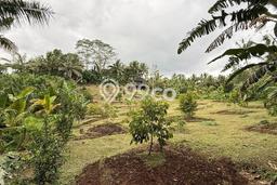 Untuk Dijual Tanah di Tabanan, Luas 3300m2 SHM Untuk Dijual Tanah di Tabanan, Luas 3300m2 SHM