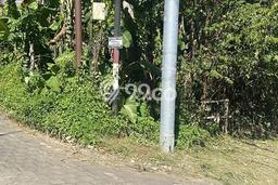 Tanah di Ubud, Gianyar Luas 600m2 Dijual Segera Tanah di Ubud, Gianyar Luas 600m2 Dijual Segera