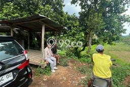 Tanah Kavling untuk Dijual di Sawan Buleleng 6200m2 Tanah Kavling untuk Dijual di Sawan Buleleng 6200m2