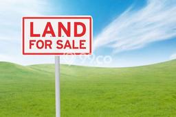 Dijual Tanah Lokasi Pantai Indah Kapuk, Jakarta Utara Seluas 300m2 Dijual Tanah Lokasi Pantai Indah Kapuk, Jakarta Utara Seluas 300m2