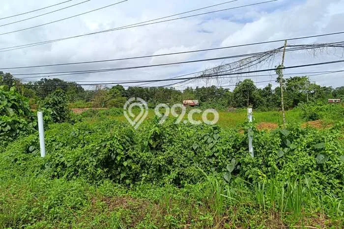 Tanah di Poasia, Kendari Luas 9051m2 Dijual Segera Tanah di Poasia, Kendari Luas 9051m2 Dijual Segera