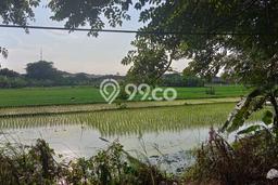 Tanah di Sidoarjo, Sidoarjo Luas 34000m2 Dijual Segera Tanah di Sidoarjo, Sidoarjo Luas 34000m2 Dijual Segera