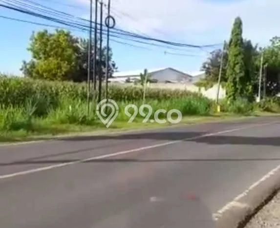 Jarang Ada! Tanah di Brondong Punya Luas 10210m2 SHM Jarang Ada! Tanah di Brondong Punya Luas 10210m2 SHM