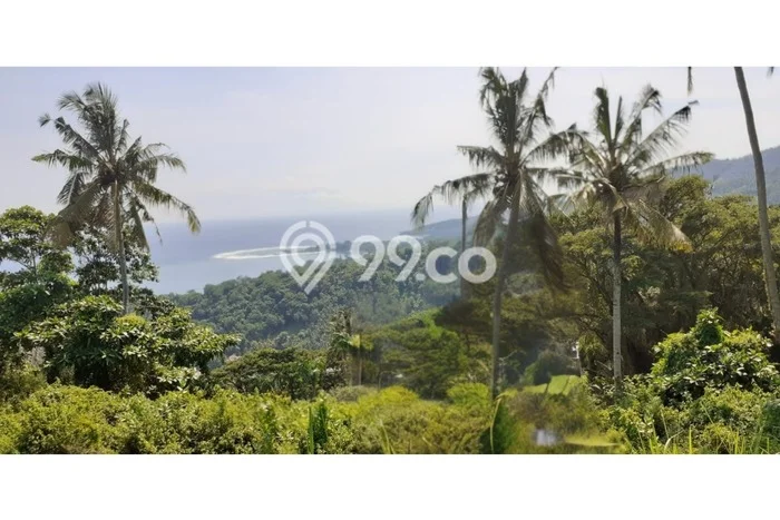 Tanah Dijual Lokasi Strategis di Lombok Barat dengan Luas 1980m2 Tanah Dijual Lokasi Strategis di Lombok Barat dengan Luas 1980m2
