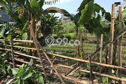 Untuk Dijual Tanah di Jakarta Utara, Luas 2795m2 SHM Untuk Dijual Tanah di Jakarta Utara, Luas 2795m2 SHM