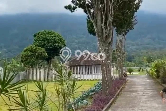Tanah Kavling Dijual di Bedugul, Tabanan dengan Luas Tanah 5000m2 Tanah Kavling Dijual di Bedugul, Tabanan dengan Luas Tanah 5000m2