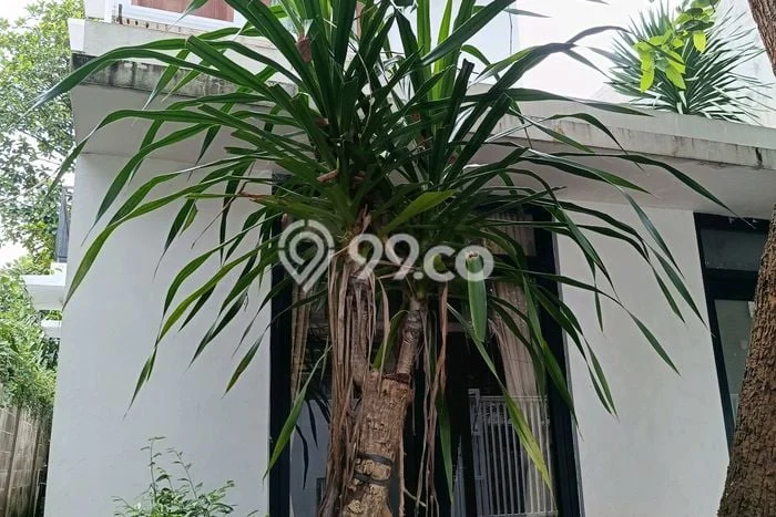 Rumah Bagus Siap Pakai Di Pasar Minggu Luas 110m2 Aman Rumah Bagus Siap Pakai Di Pasar Minggu Luas 110m2 Aman