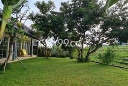 Tanah Dijual di Badung Seluas 2000m2 Strategis Tanah Dijual di Badung Seluas 2000m2 Strategis