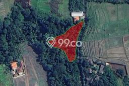 Lahan Disewakan Lokasi Buwit Tabanan Luas 2047m2 Lahan Disewakan Lokasi Buwit Tabanan Luas 2047m2