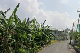 Kavling Tanah untuk Dijual di Canggu, Badung, Luas 925m2 Kavling Tanah untuk Dijual di Canggu, Badung, Luas 925m2