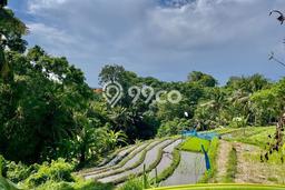 Tanah Disewa di Buwit Strategis dan Memiliki Luas 2800m2 Tanah Disewa di Buwit Strategis dan Memiliki Luas 2800m2