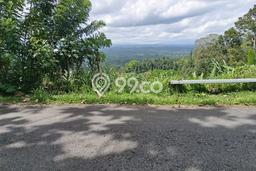 Tanah Dijual Lokasi Petang, Badung Luas 8700m2 Legalitas Aman Tanah Dijual Lokasi Petang, Badung Luas 8700m2 Legalitas Aman